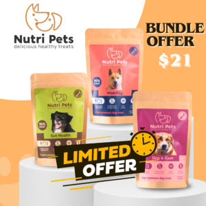 Bundle Offer